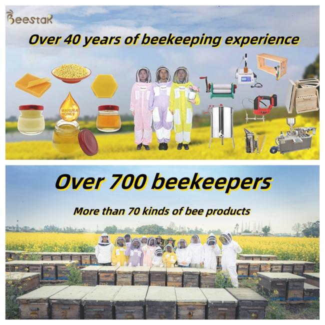 Bee Star company overview