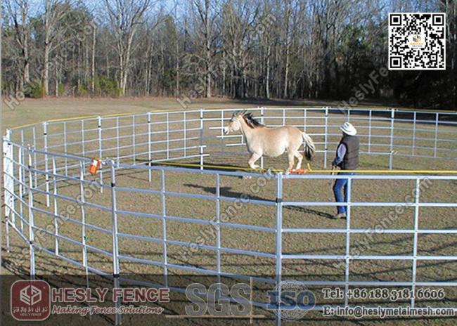 China Corral Fence Panel Supplier