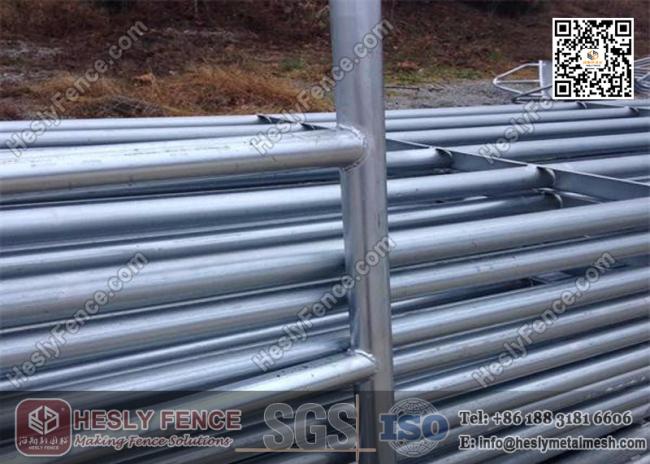China Livestock Fence Panel