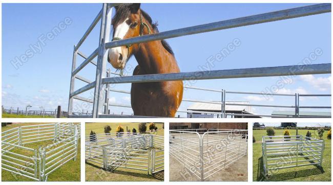 Horse Open Panel