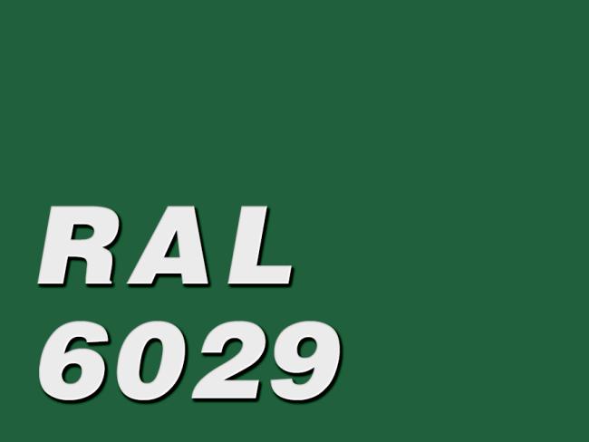 Green RAL6029 Green RAL6029