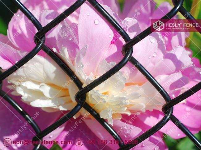 black chain link fence