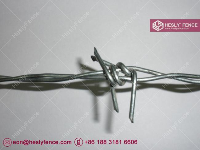 galvanised barbed wire
