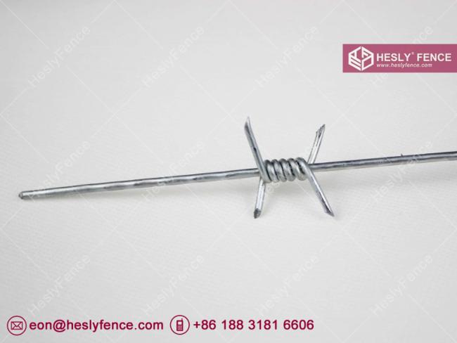 single strand barbed wire