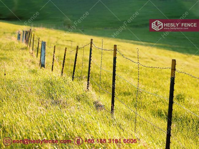 barbed wire China