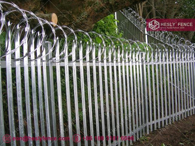 steel palisade fence with top razor barbed wire