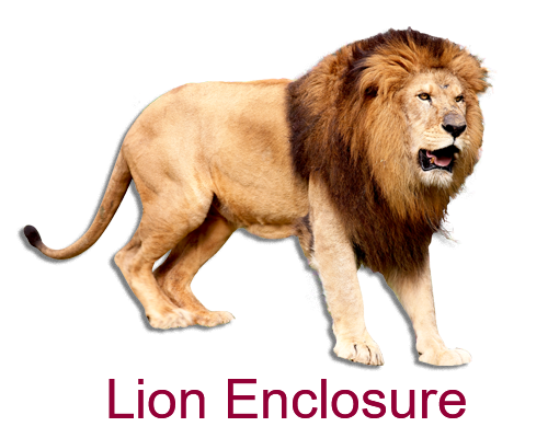 Lion Mesh Enclosure