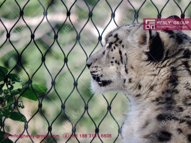 zoo mesh Hesly China