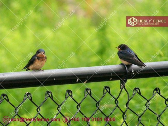 PVC coated chainwire mesh