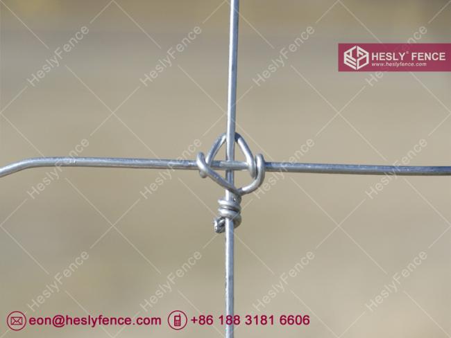 fixed knoted wire mesh fence