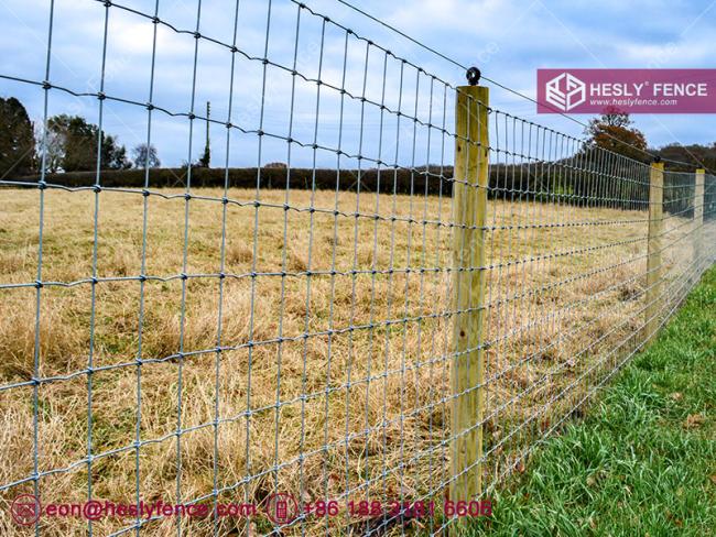 filed horse fencing