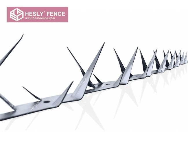 galvanized razor spike China Supplier
