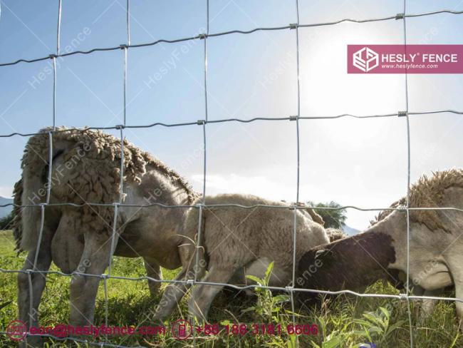 Hinge Join Mesh Fence