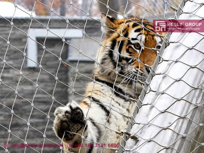 Tiger Enclosure