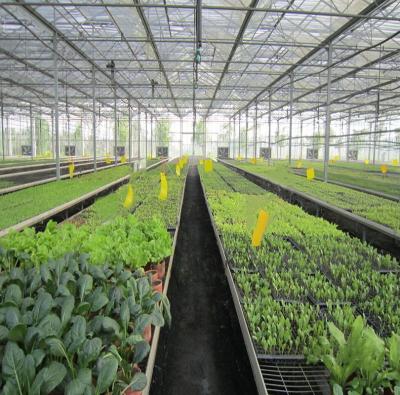 China 5kw Greenhouse Solar System Ground Mount 10-60° Tilt Angle Thickness 2.0mm/2.5mm for sale