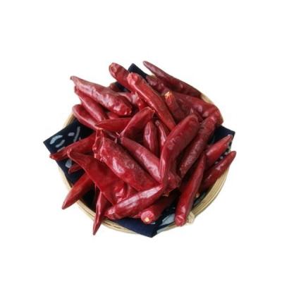 China 7cm 99% Peper van Zuiverheids de Droge Stemless Spaanse pepers met 14% Max Moisture Te koop