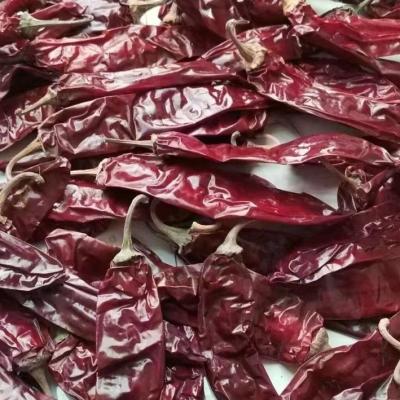 China Red Chili Pods Paprika Peppers Spice Smoky And Sweet 8-12% Moisture for sale