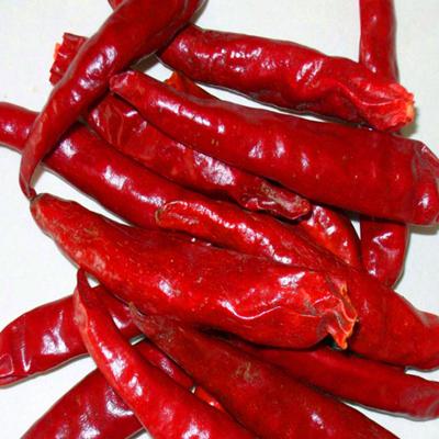 China Oval Shape Dried Birds Eye Chilli 50000SHU Dry And Cool Place Storage 25kg/ Bag for sale