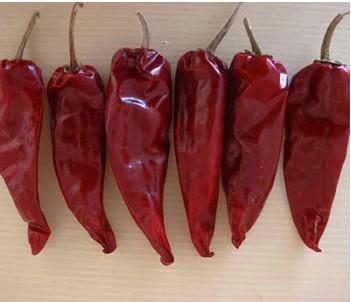 China Los chiles secados ANUNCIO de Yidu alrededor forman 8000 SHU Mild Dried Red Chilies en venta