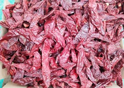China Marinades Use Dried Guajillo Chili 7cm Sun Dried Red Peppers Not Spicy for sale