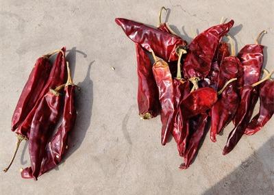 China Dried Long Red Chillies Sweet Organic Guajillo Peppers 10cm Length for sale