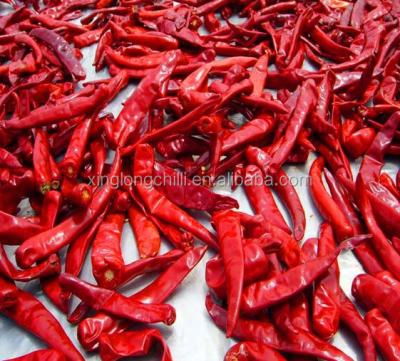 China Organic De Arbol Chile Tianjin secó las pimientas picantes 50000 SHU Super Hot en venta