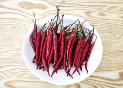 China Organic De Arbol Chile Tianjin secó las pimientas picantes 50000 SHU Super Hot en venta