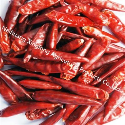 China Good Taste Dried Chili De Arbol Mild Dried Red Chilies SHU 5000 for sale