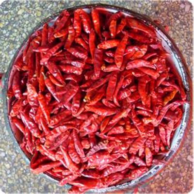 China Chiles secados buen gusto SHU 5000 de Chili De Arbol Mild Dried Red en venta