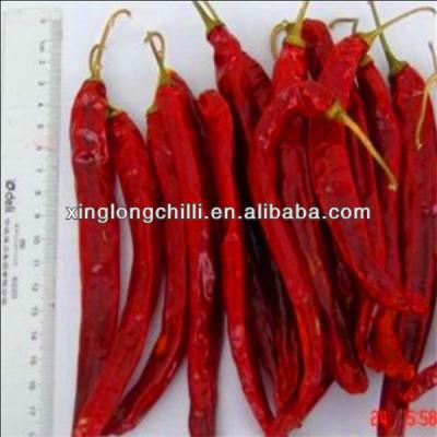 China Chiles secados buen gusto SHU 5000 de Chili De Arbol Mild Dried Red en venta