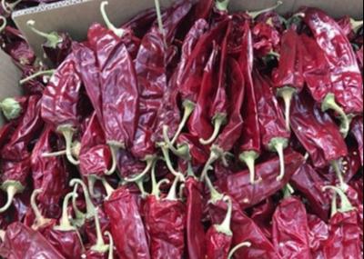 Chine 25lbs Paprika Pepper douce 130mm a séché Chili Low Scoville doux à vendre