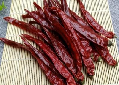 China Planting Base And Processing Hot Chinese Dried Chili Peppers Nature Red for sale