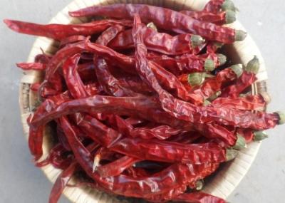 China Seasoning Dried Red Chilli Peppers For All The Spice Importer 4-7 Cm for sale