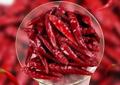 China Chaotian Dried Red Chilli Whole Red Chilies Tianjin Chili Dehydrated for sale