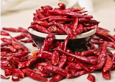 中国 Stemless Tientsin Dried Red Chilli Peppers 20000shu Single Herbs 7cm 販売のため