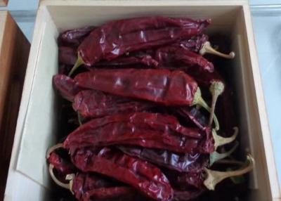 China Dehydrated 15% Moisture Red Guajillo Chili Pepper Sweet Cherry for sale