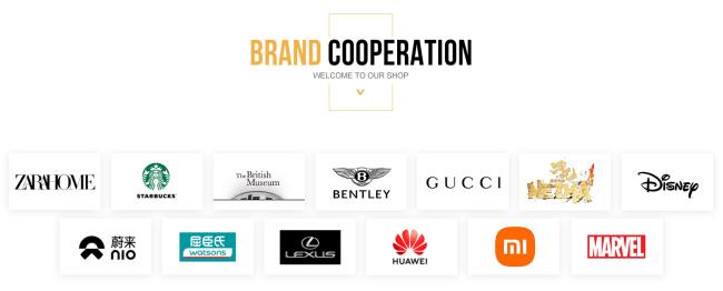 Brand Cooperation Cases