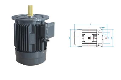 China W/ Inverter Asynchronous Inverter Motors Impedance Source Cast Iron for sale