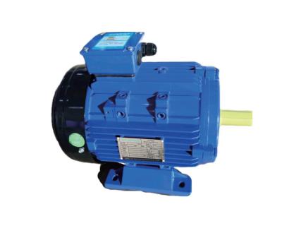 China 1 Phase Three Phase Asynchronous Electric Motor for sale
