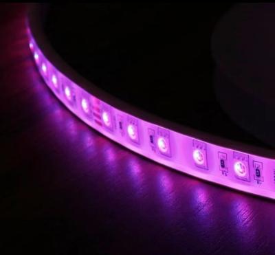 China 14.4W/M IP68 RGB Color Changing LED Strip Lights For Marine Lighting for sale