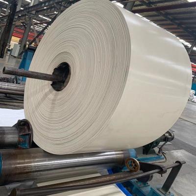 Chine NN200 blanc EP200 bandes de conveyeur en caoutchouc de 3 plis à vendre