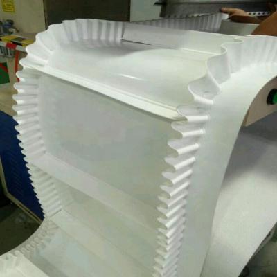 China EP ST630 ST800 ST1000 White Skirt Conveyor Belt for sale