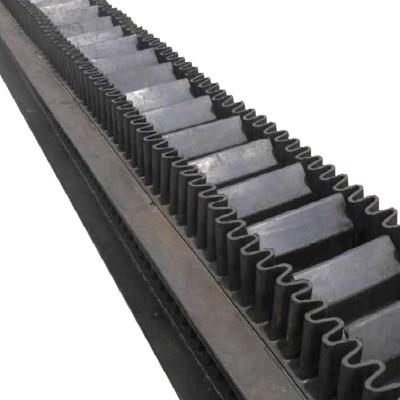 China 2-10 Layers S80 S100 S120 S160 Apron Conveyor Belt for sale