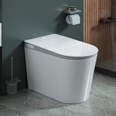 China Ceramic Floor One Piece Intelligent Smart Toilet Bowl Electric Automatic Flush WC Bidet for sale