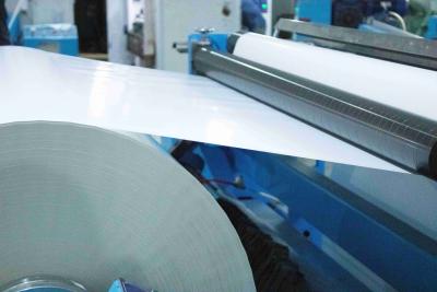 China Papel de impresión adesivo de plata mate de PET para el reverso Rollo de papel de impresión 50 u espesor de superficie en venta