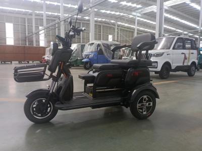 China Flexible Leisure Electric Tricycle For Adults Motorized 500w for sale