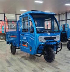China 1500W Open Electric Cargo Trike Electric Cargo Motorcycle for sale