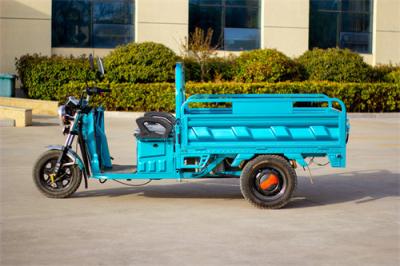 China Street Legal Electric Tricycle Truck  Cargo Electric Trike Stable Performance for sale