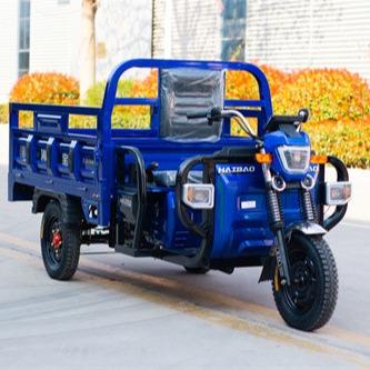 China Blue Utility Electric Tricycle Truck Cargo E Trike Truck 1000W for sale