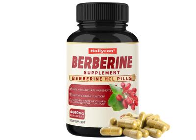 China GMP Berberine Capsules Immune System Booster Supplement Cardiovascular Gastrointestinal Function for sale